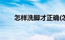 怎样洗脚才正确(怎样洗脚才正确呢)