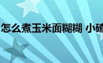 怎么煮玉米面糊糊 小碴粥(小玉米碴粥怎么做)