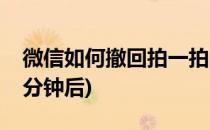 微信如何撤回拍一拍(微信如何撤回拍一拍两分钟后)