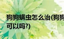 狗狗螨虫怎么治(狗狗螨虫怎么治疗84消毒液可以吗?)