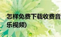 怎样免费下载收费音乐(怎样免费下载收费音乐视频)