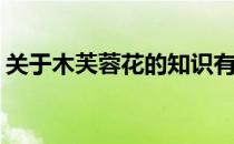关于木芙蓉花的知识有哪些(什么是木芙蓉花)