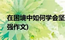 在困境中如何学会坚强(在困境中如何学会坚强作文)