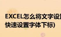 EXCEL怎么将文字设置为下标(excel中如如何快速设置字体下标)
