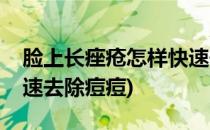 脸上长痤疮怎样快速去除(脸上长痤疮怎样快速去除痘痘)