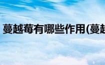 蔓越莓有哪些作用(蔓越莓有哪些作用和功效)