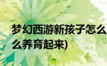 梦幻西游新孩子怎么养育(梦幻西游新孩子怎么养育起来)
