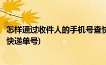 怎样通过收件人的手机号查快递(怎样通过收件人的手机号查快递单号)