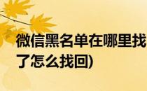 微信黑名单在哪里找(微信黑名单上的人删除了怎么找回)