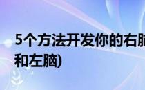 5个方法开发你的右脑(5个方法开发你的右脑和左脑)