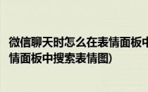 微信聊天时怎么在表情面板中搜索表情(微信聊天时怎么在表情面板中搜索表情图)