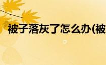 被子落灰了怎么办(被子落灰了怎么办图片)