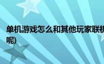 单机游戏怎么和其他玩家联机(单机游戏怎么和其他玩家联机呢)
