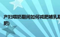 产妇喂奶期间如何减肥哺乳期减肥十大原则(哺乳期应如何减肥)