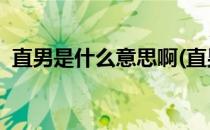 直男是什么意思啊(直男是啥意思 通俗点说)