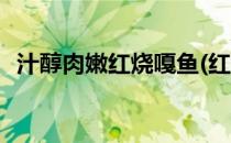 汁醇肉嫩红烧嘎鱼(红烧嘎鱼最正宗的做法)