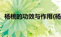 杨桃的功效与作用(杨桃的功效与作用吃法)