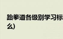 跆拳道各级别学习标准(跆拳道每个级别学什么)