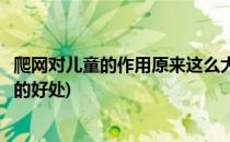 爬网对儿童的作用原来这么大这些你都知道吗(攀爬网对幼儿的好处)
