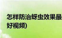 怎样防治蚜虫效果最好(怎样防治蚜虫效果最好视频)