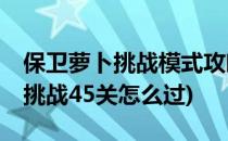 保卫萝卜挑战模式攻略[45]第45关(保卫萝卜挑战45关怎么过)