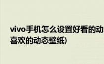 vivo手机怎么设置好看的动态壁纸(vivo手机怎样设置自己喜欢的动态壁纸)