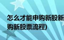怎么才能申购新股新股申购流程介绍(怎样申购新股票流程)