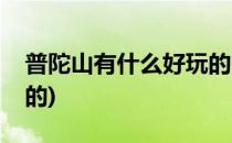 普陀山有什么好玩的(舟山普陀山有什么好玩的)
