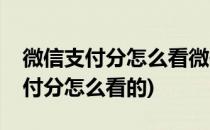 微信支付分怎么看微信支付分在哪里(微信支付分怎么看的)