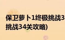 保卫萝卜1终极挑战33关攻略(保卫萝卜1终极挑战34关攻略)