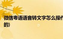微信粤语语音转文字怎么操作(微信粤语语音转文字怎么操作的)