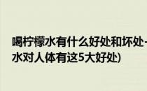 喝柠檬水有什么好处和坏处-功效作用和禁忌大全(常喝柠檬水对人体有这5大好处)