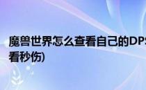 魔兽世界怎么查看自己的DPS/伤害输出/秒伤(魔兽世界如何看秒伤)