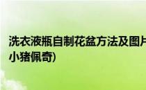 洗衣液瓶自制花盆方法及图片(洗衣液瓶自制花盆方法及图片小猪佩奇)