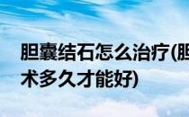 胆囊结石怎么治疗(胆囊结石怎么治疗最好手术多久才能好)