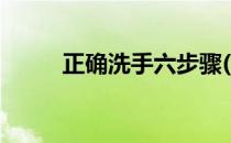 正确洗手六步骤(洗手六步法步骤)