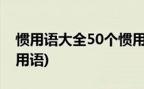 惯用语大全50个惯用语(惯用语大全100个惯用语)
