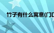 竹子有什么寓意(门口种竹子有什么寓意)