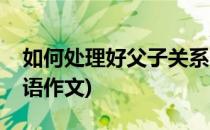 如何处理好父子关系(如何处理好父子关系英语作文)