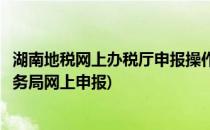 湖南地税网上办税厅申报操作指南系列之报表报送(湖南省税务局网上申报)