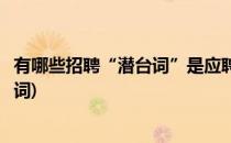 有哪些招聘“潜台词”是应聘人员必须明白的(公司招聘潜台词)