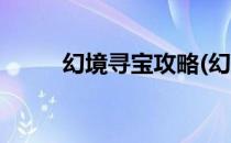 幻境寻宝攻略(幻境寻宝攻略最新)