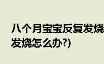 八个月宝宝反复发烧怎么办(八个月宝宝反复发烧怎么办?)