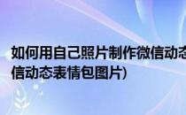 如何用自己照片制作微信动态表情包(如何用自己照片制作微信动态表情包图片)