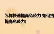 怎样快速提高免疫力 如何提高免疫力的方法(怎样提高怎样提高免疫力)