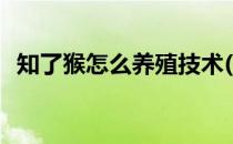 知了猴怎么养殖技术(知了猴养殖方法技术)