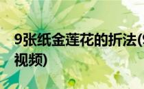 9张纸金莲花的折法(9张纸金莲花的折法教程视频)