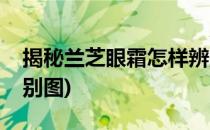 揭秘兰芝眼霜怎样辨别真假(兰芝眼霜真假鉴别图)