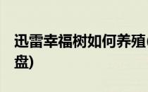迅雷幸福树如何养殖(幸福树如何养殖 百度网盘)