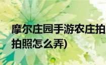 摩尔庄园手游农庄拍照怎么拍(摩尔庄园农庄拍照怎么弄)